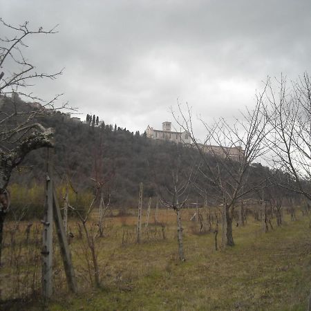 Camere Le Cascatelle Assisi Bagian luar foto