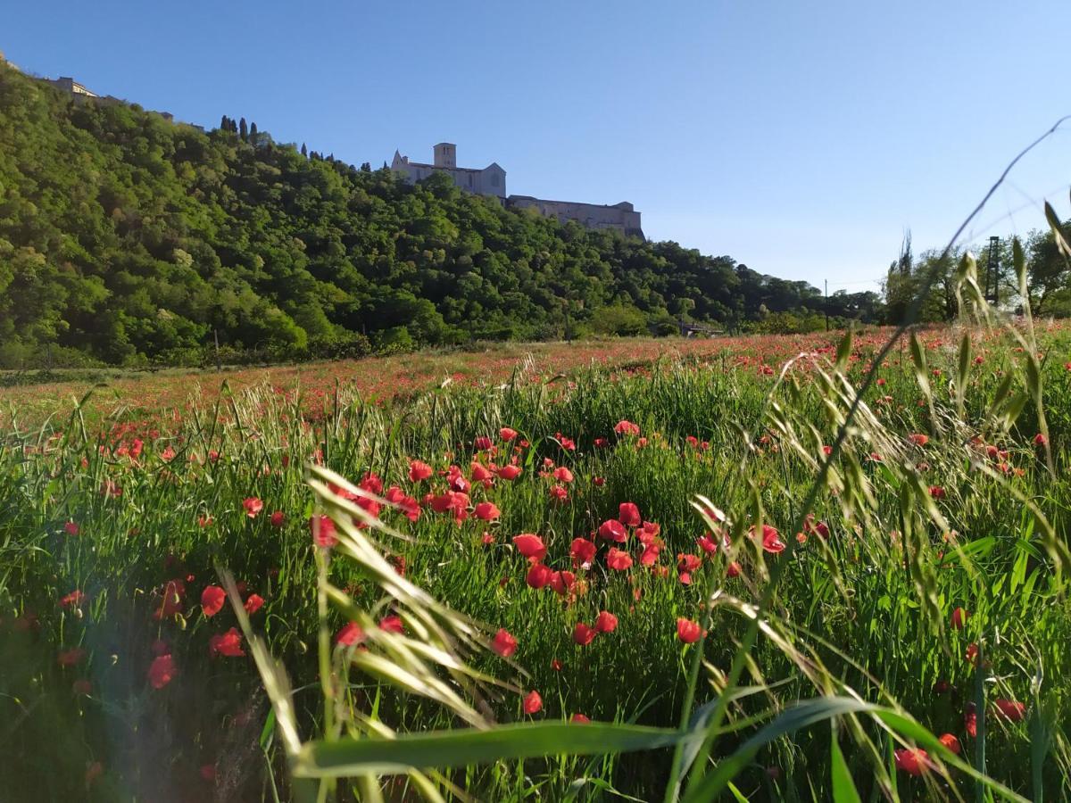 Camere Le Cascatelle Assisi Bagian luar foto