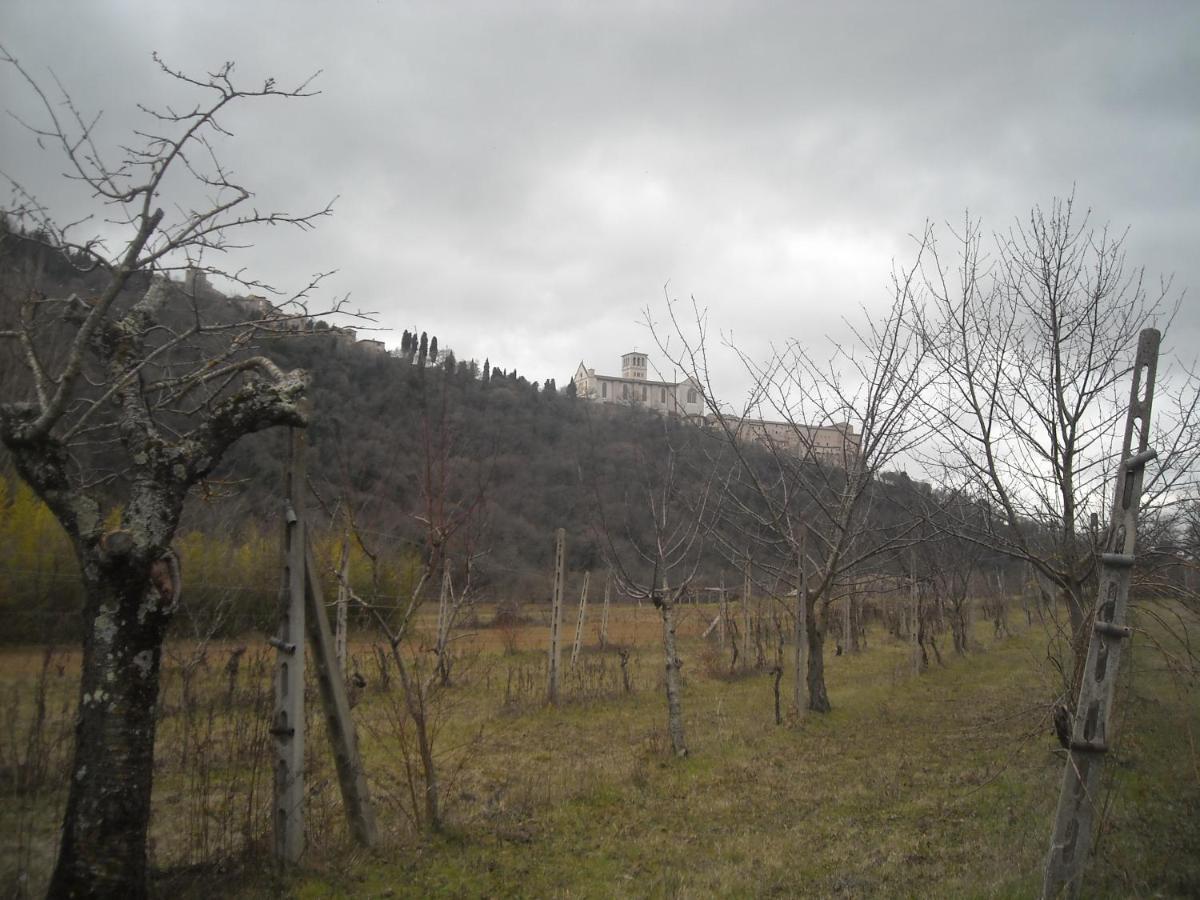 Camere Le Cascatelle Assisi Bagian luar foto